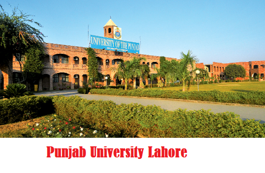 Punjab University BA Result 2024