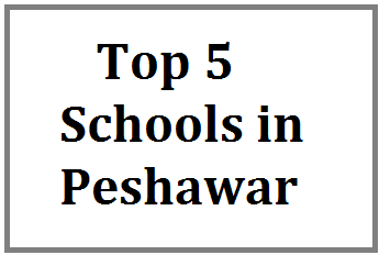 best schools in peshawar